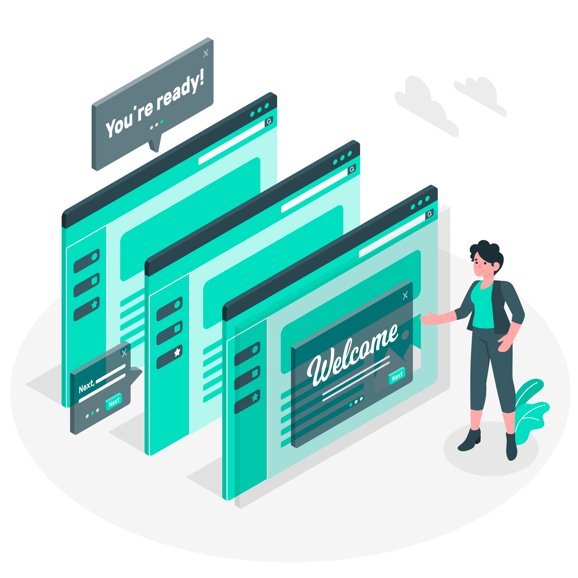 Desarrollo e implementación de software
